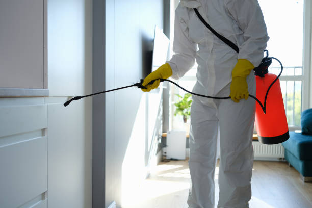 Best Mold Damage Repair  in Bothell East, WA