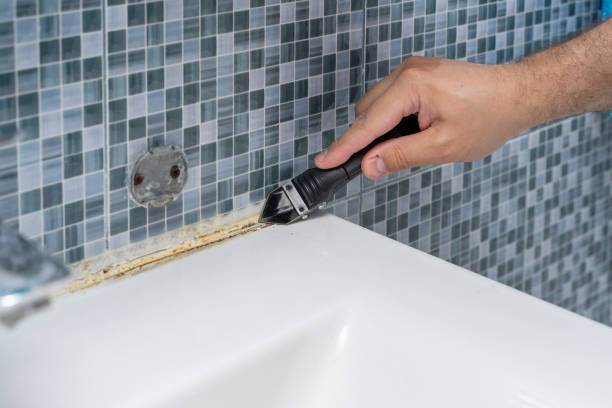 Professional Mold Removal in Bothell East, WA