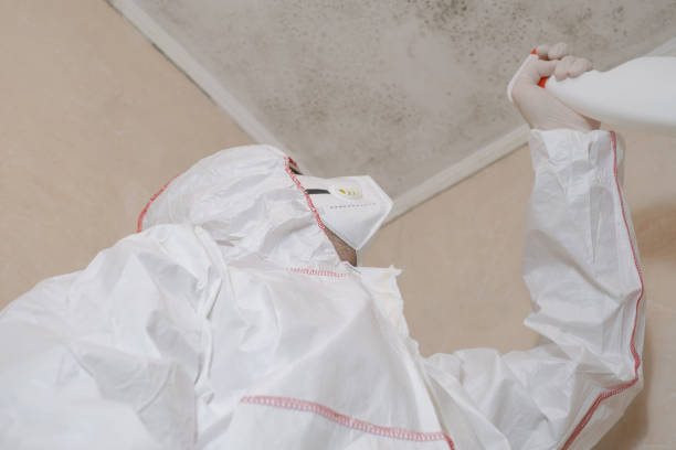 Best Office Mold Removal Services  in Bothell East, WA